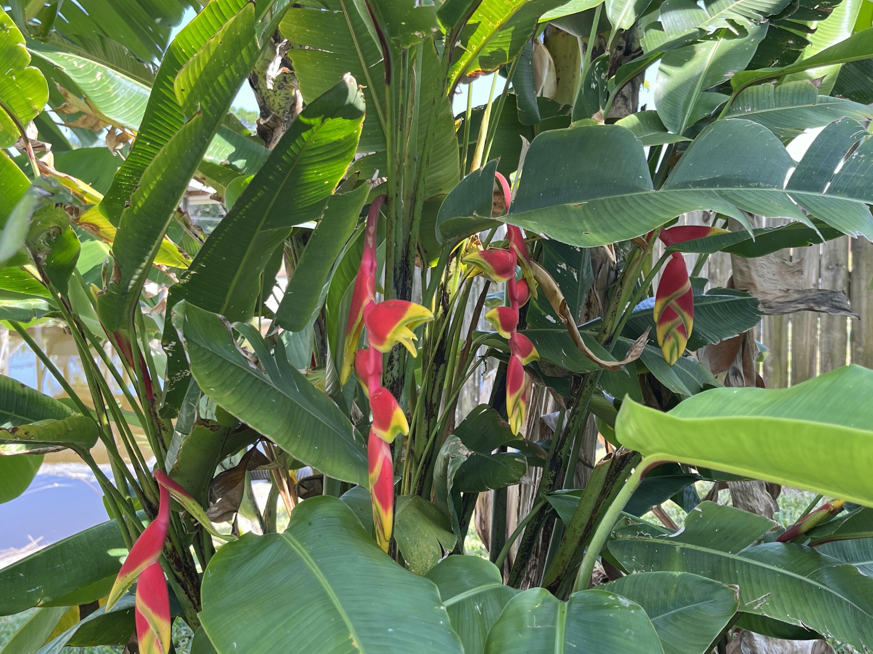 1061 Lake Circle Okeechobee, FL 34974 - Photo 34 of 41 IMG_4409