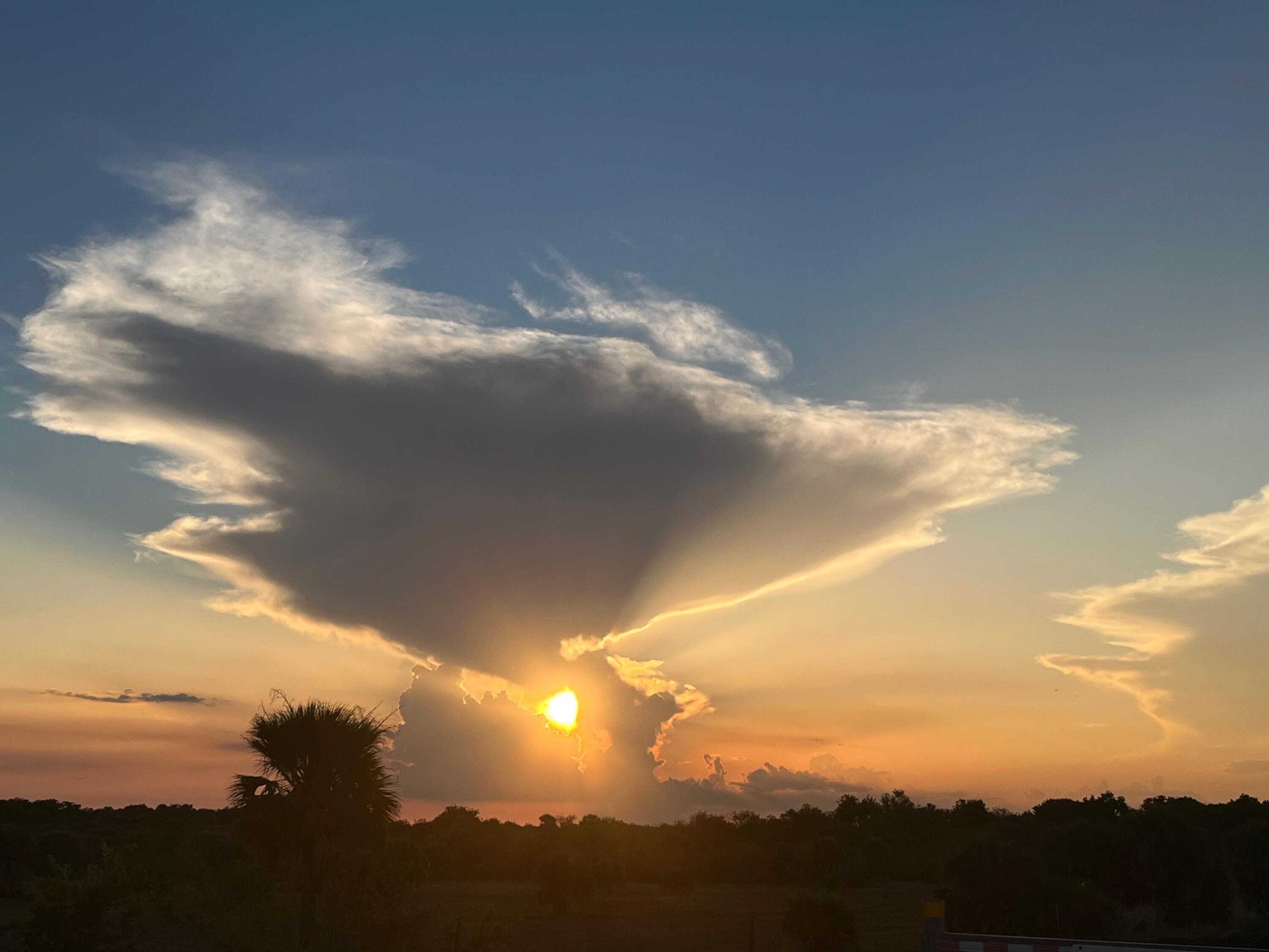 1061 Lake Circle Okeechobee, FL 34974 - Photo 35 of 41 IMG_4415