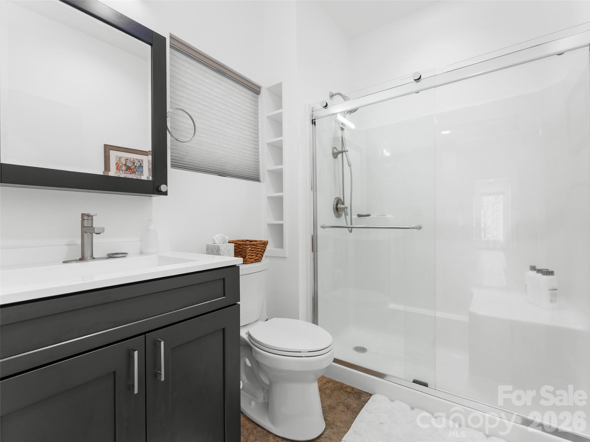 60 West Morgan Street Brevard, NC 28712 - Photo 43 of 48 a bathroom with a sink a toilet and shower