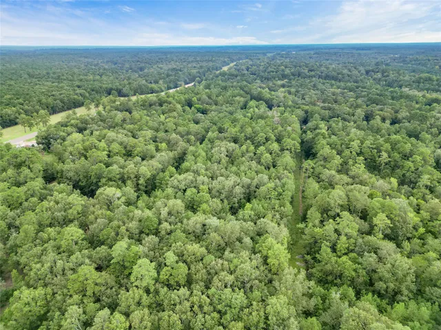an aerial view of residential houses with outdoor space and trees