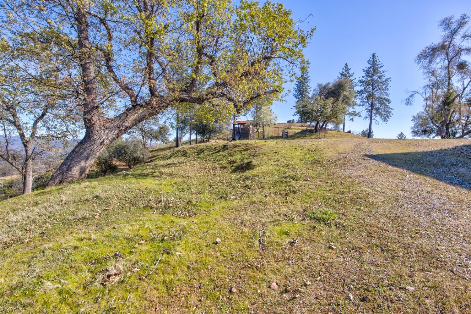 7005 Mountain Ranch Road Mountain Ranch, CA 95246 - Photo 51 of 90 Gallery Image 51