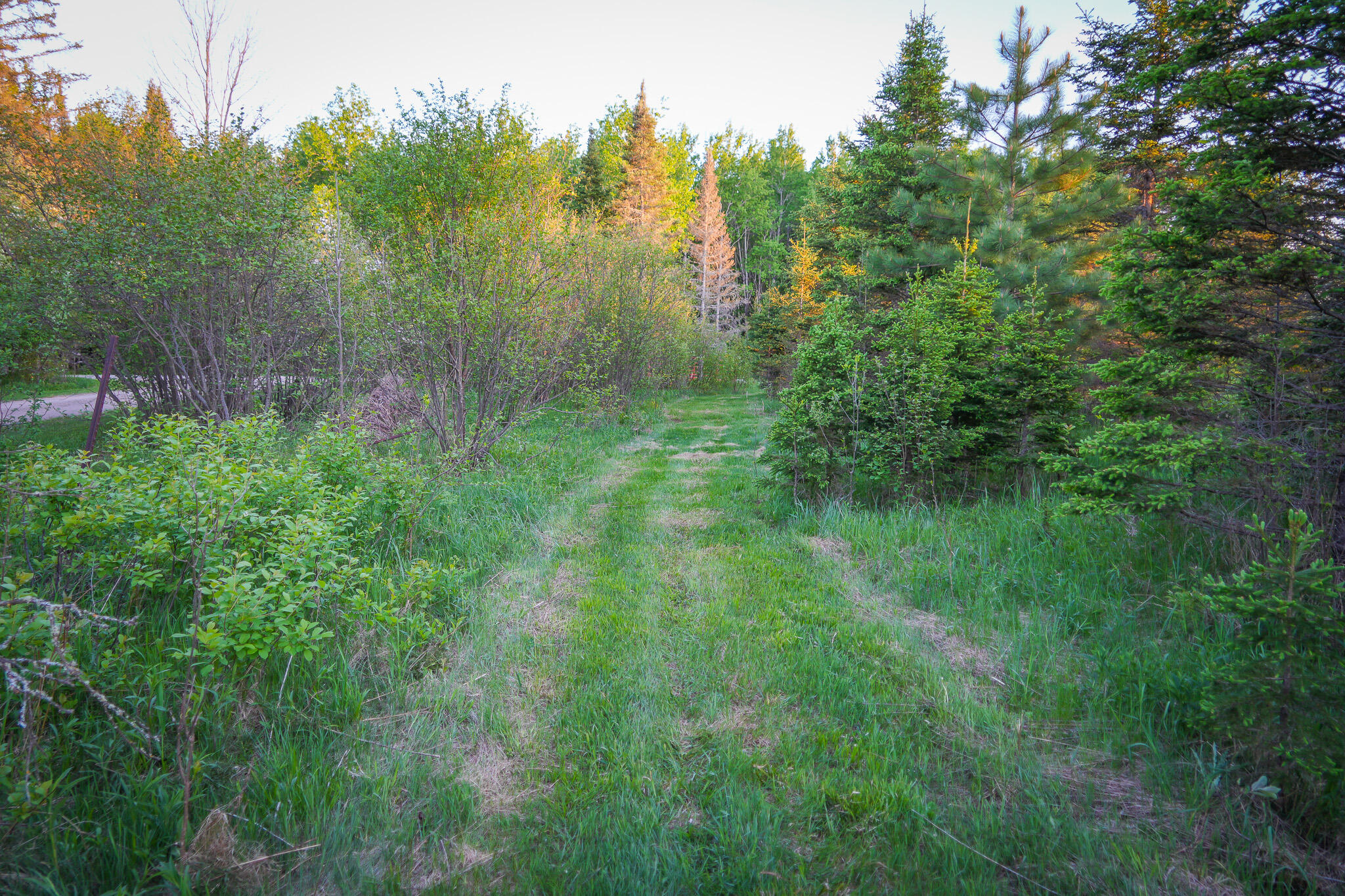 V/l V/l 33rd Road Perkins, MI 49872 - Photo 65 of 70 DSC00106