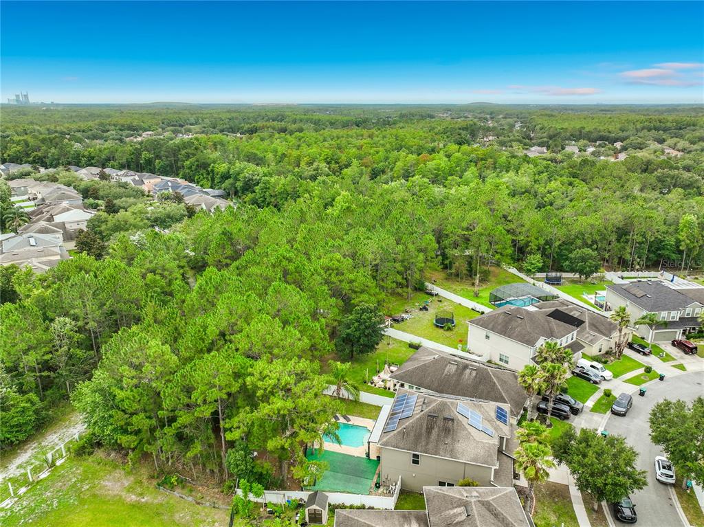 10672 Cabbage Tree Loop Orlando, FL 32825 - Photo 84 of 86