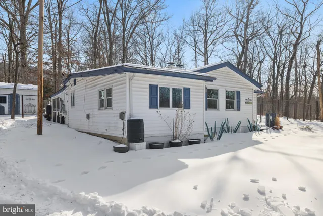 a backyard of a house with lots of trees