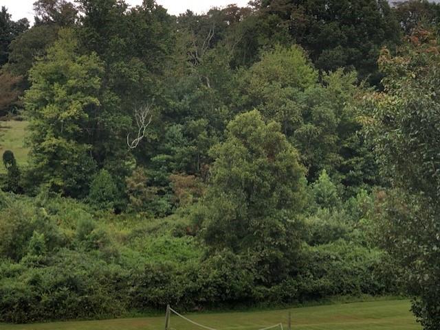 Tbd Cranberry Road, Unit 5 Galax, VA 24333 - Photo 1 of 3 Gallery Image 1