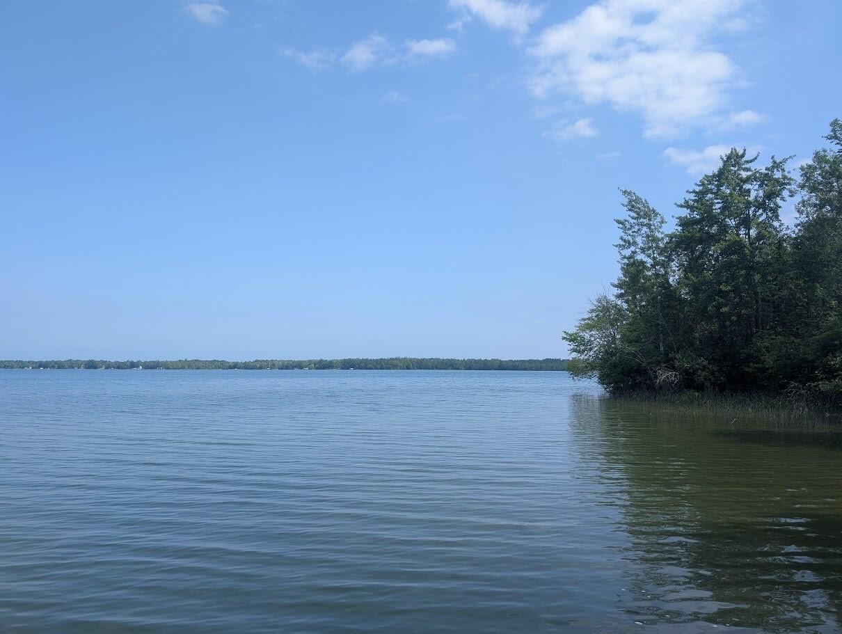 West Long Lake Road Alpena, MI 49707 - Photo 16 of 17 PXL_20250709_160455761