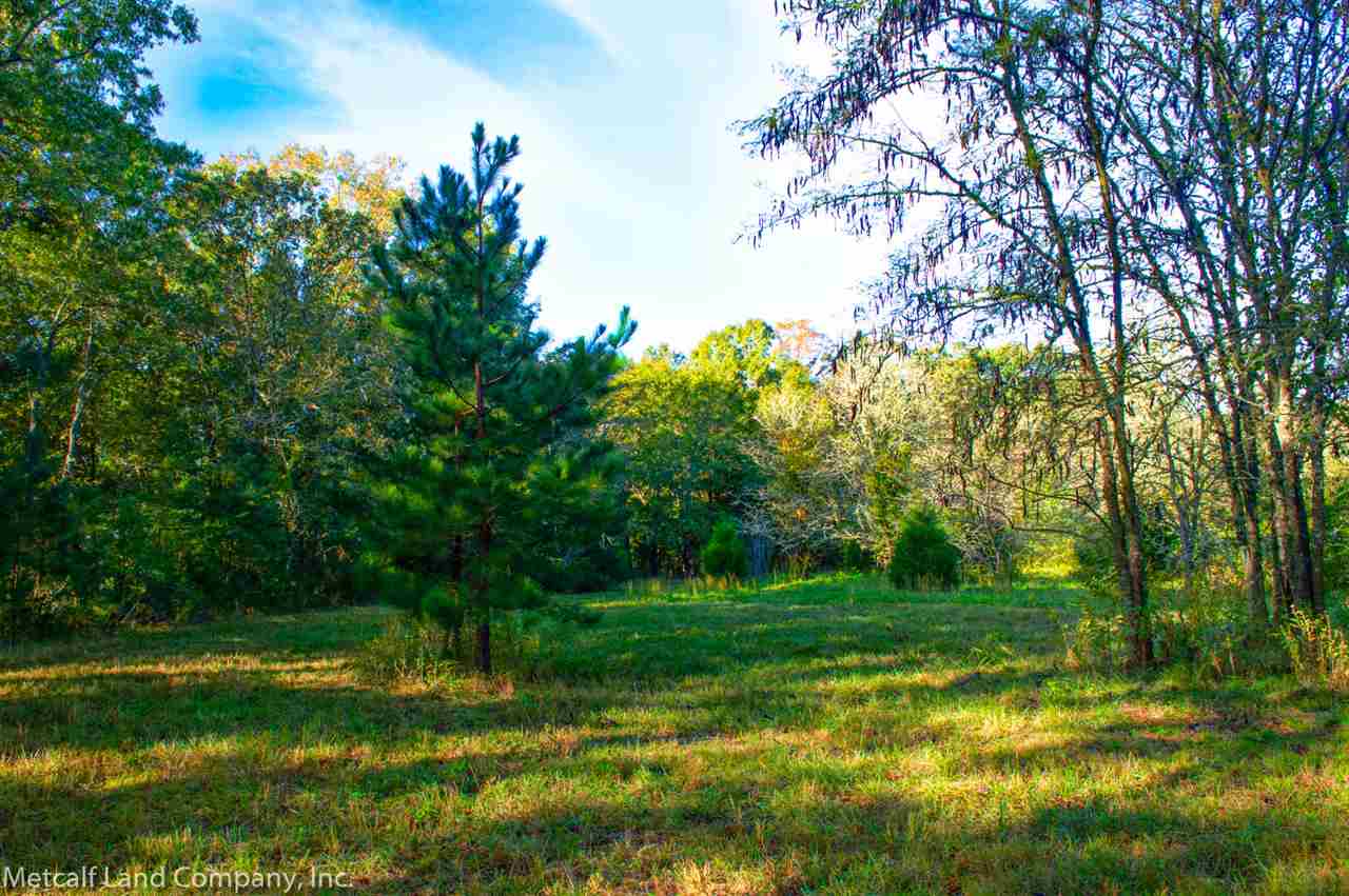 250 Lowe Lane Inman, SC 29349 - Photo 3 of 9