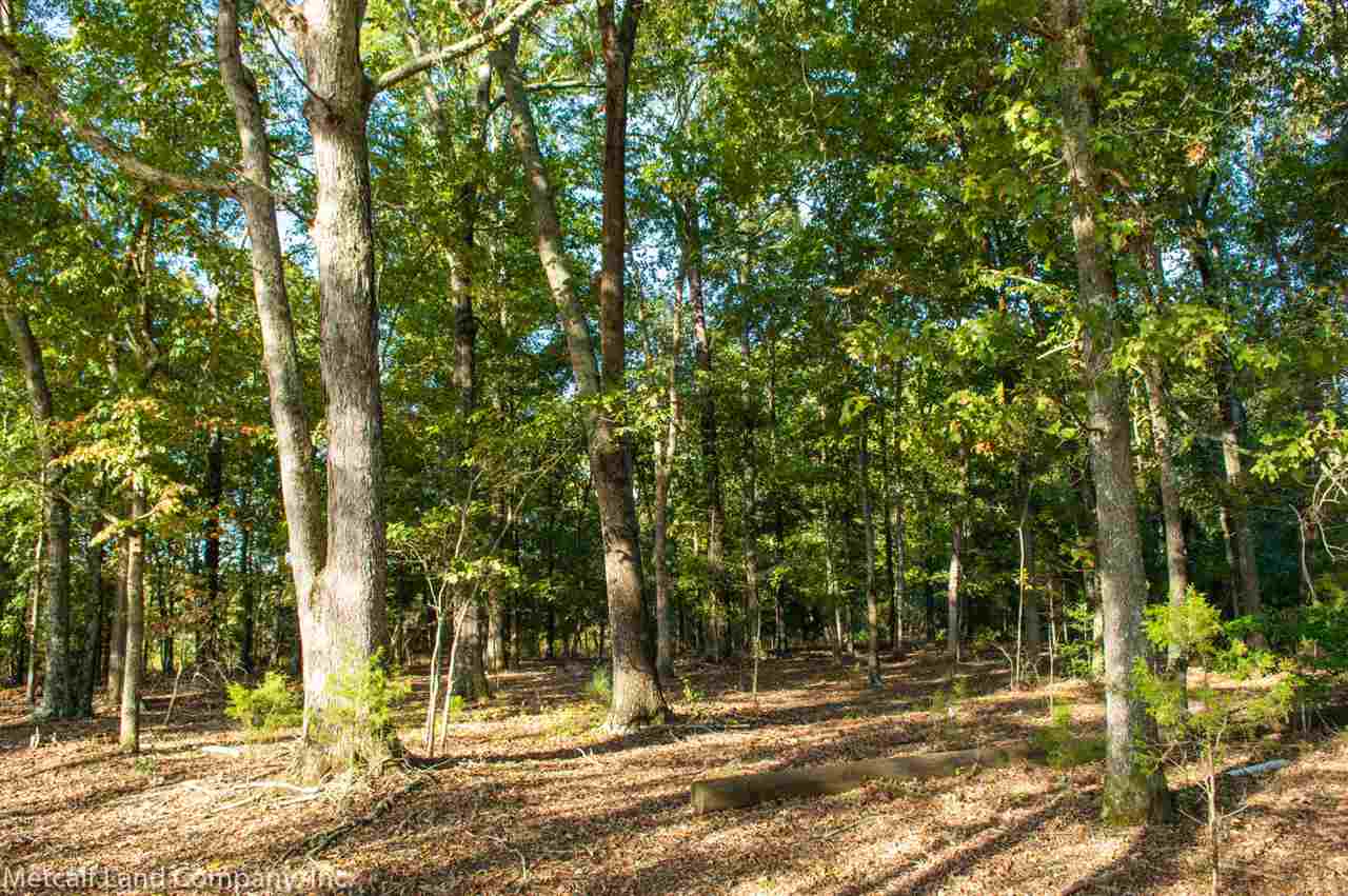 250 Lowe Lane Inman, SC 29349 - Photo 4 of 9