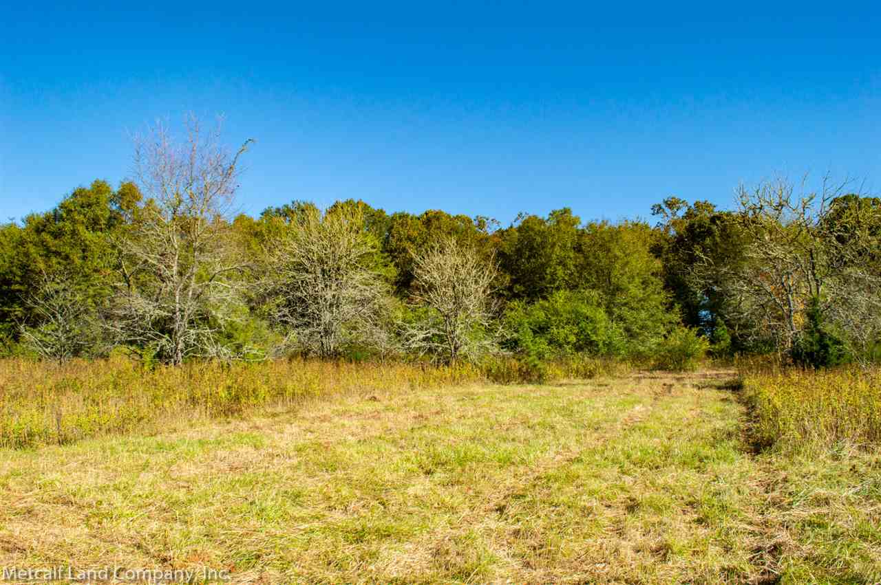 250 Lowe Lane Inman, SC 29349 - Photo 9 of 9