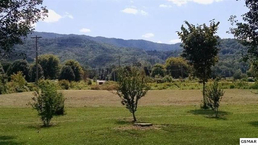 12 Line Springs Road Sevierville, TN 37862 - Photo 8 of 12