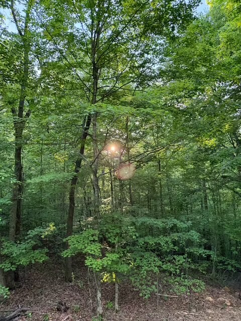 1080 Turkey Creek Boat Dock Road Tullahoma, TN 37388 - Photo 21 of 22