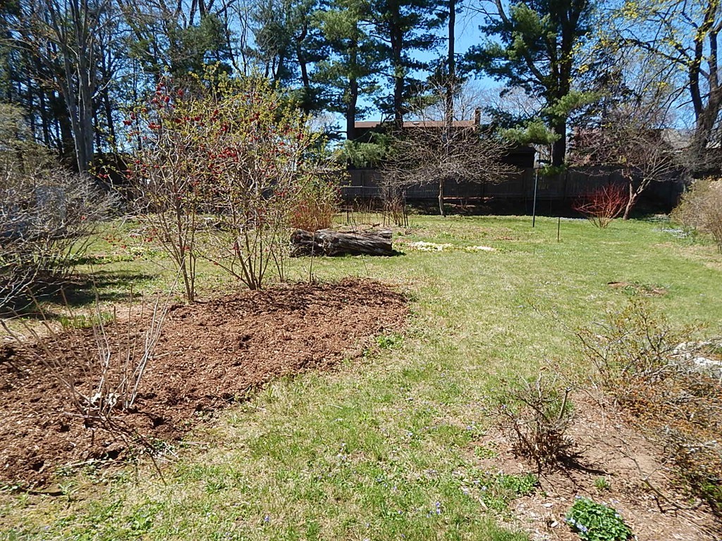 50 Searle Road South Hadley, MA 01075 - Photo 22 of 30 a view of swimming pool with a yard
