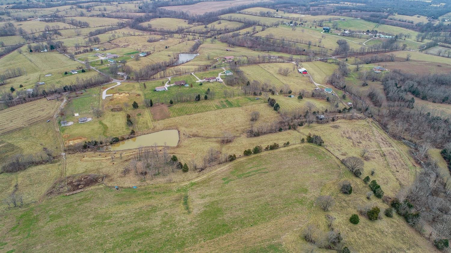 1 Monson/lake Road Cynthiana, KY 41031 - Photo 6 of 23 Photo 6