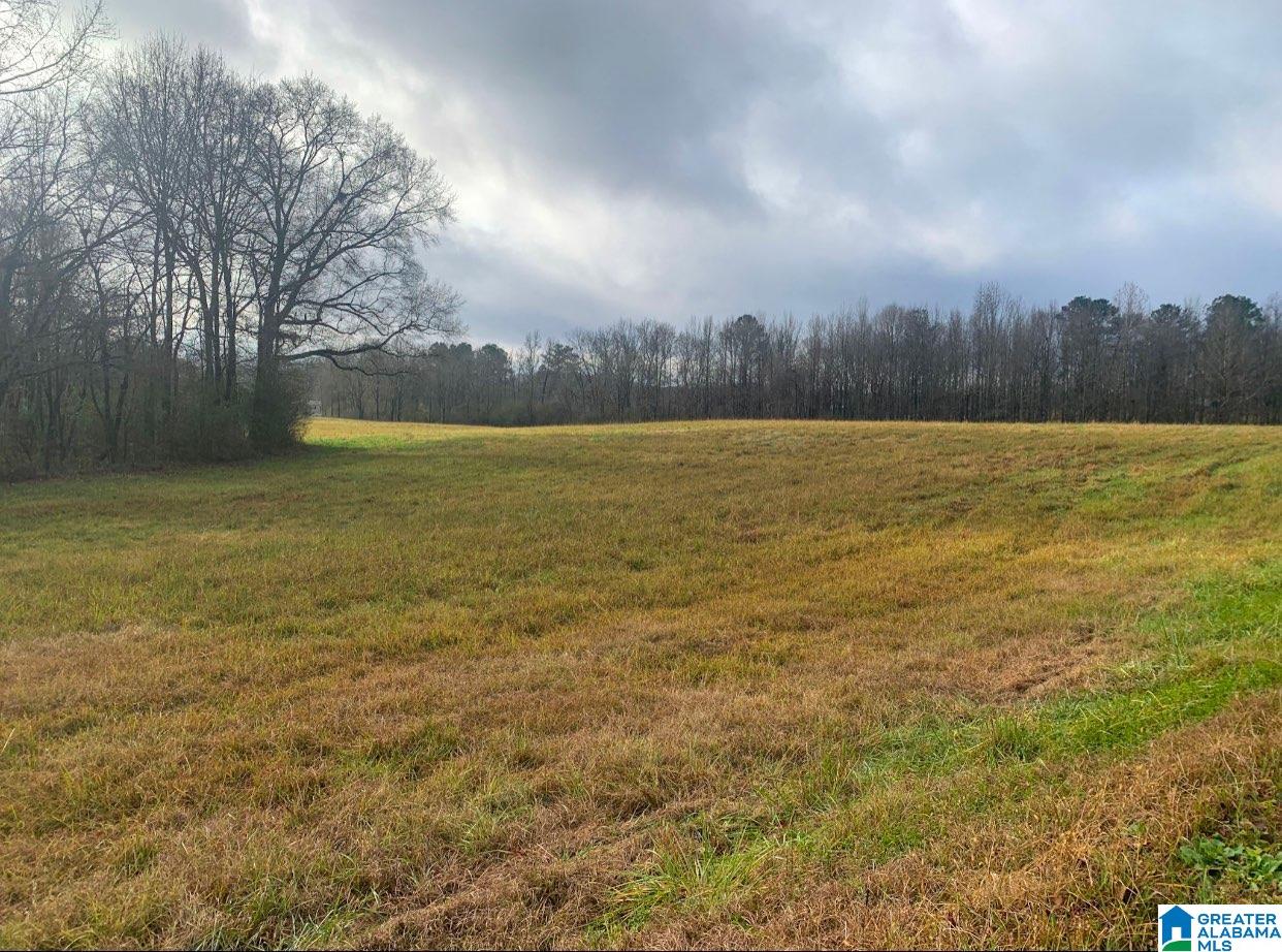 0 Souls Chapel Road, Unit 1 Oneonta, AL 35121 - Photo 1 of 6