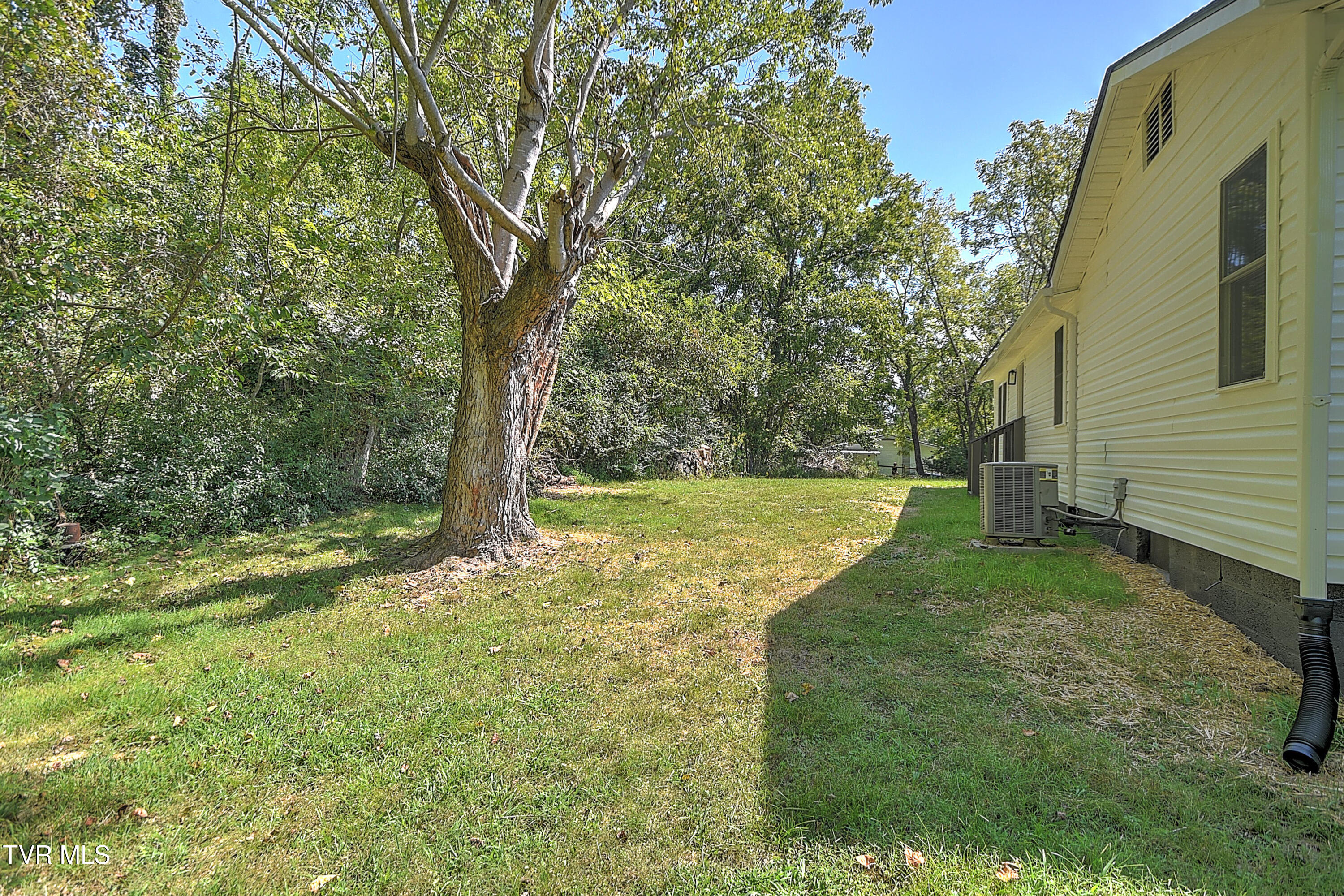 1041 Walnut Grove Road Bluff City, TN 37618 - Photo 41 of 44 43-print-1041 Walnut grove CP-42