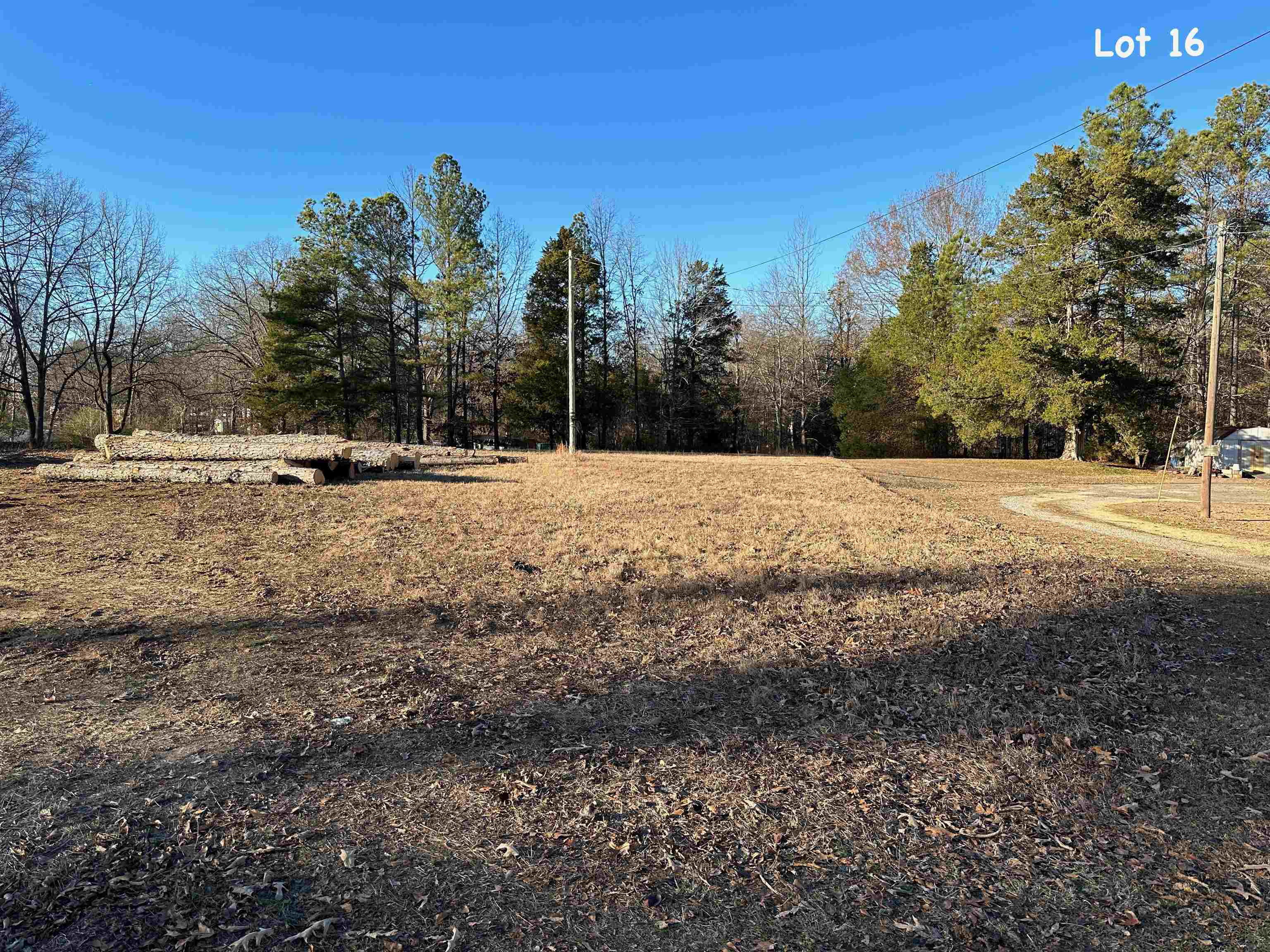 560 Riverside Lane Crump, TN 38327 - Photo 2 of 10 Gallery Image 2