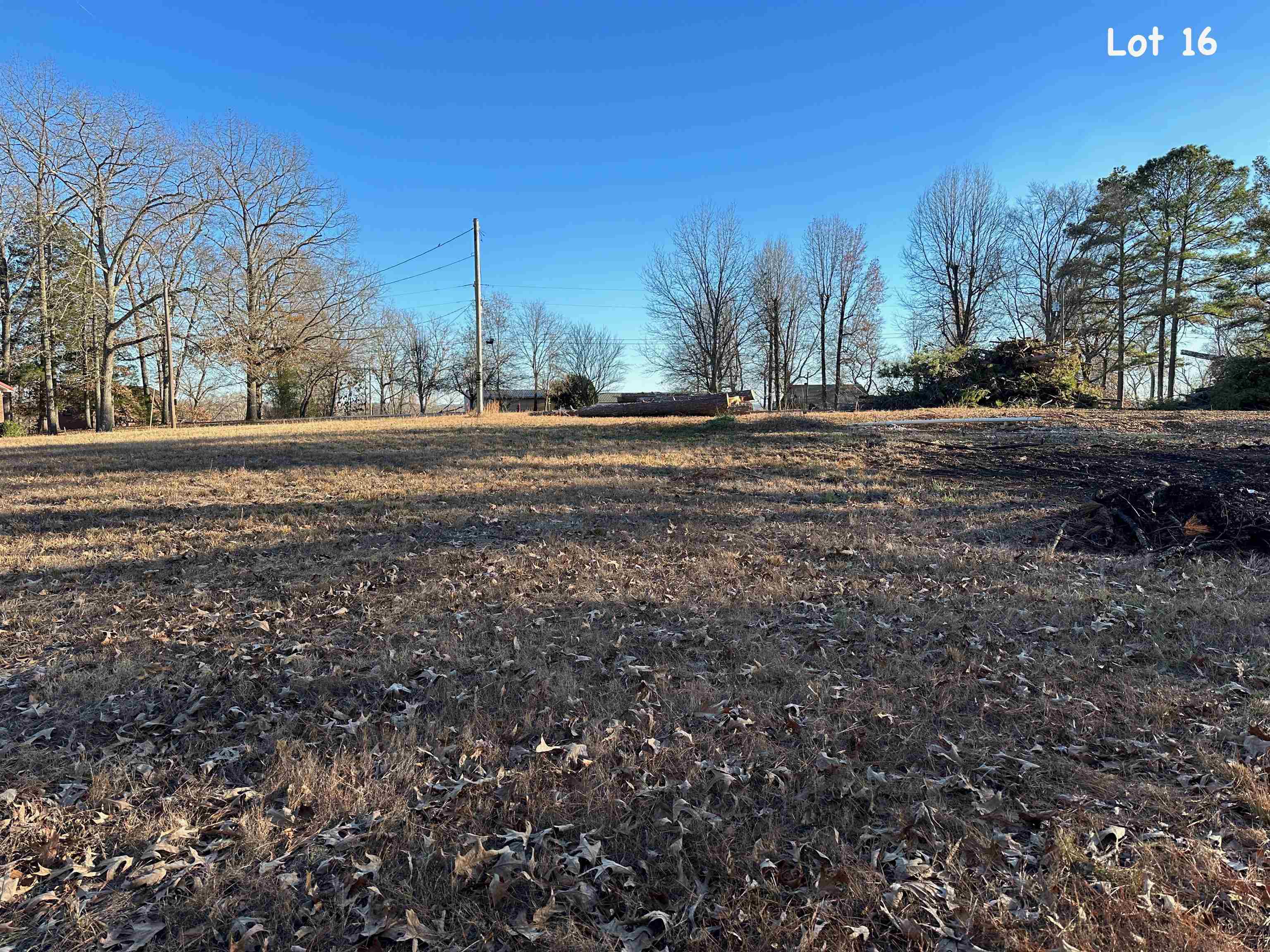 560 Riverside Lane Crump, TN 38327 - Photo 6 of 10 Gallery Image 6