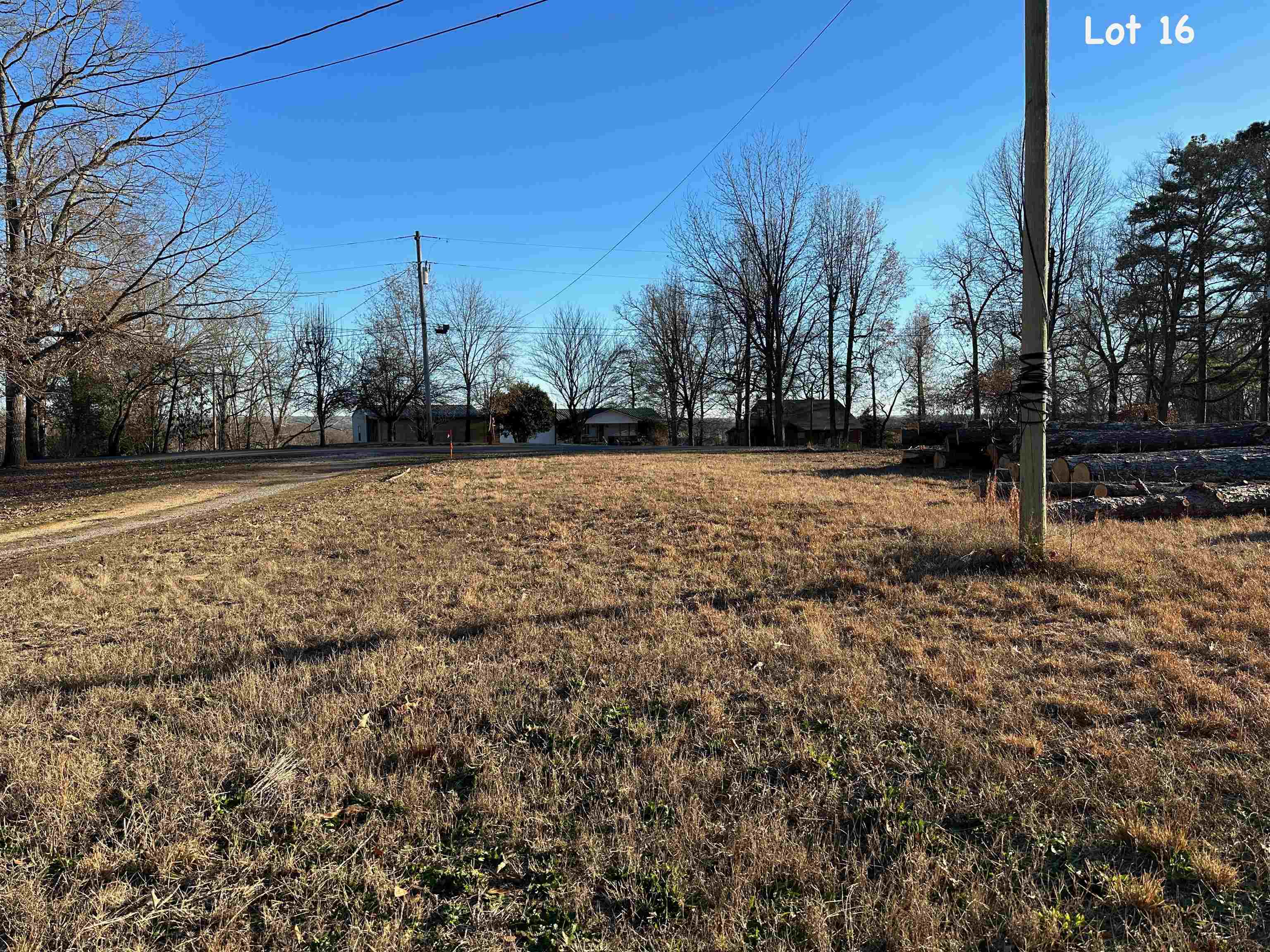 560 Riverside Lane Crump, TN 38327 - Photo 7 of 10 Gallery Image 7