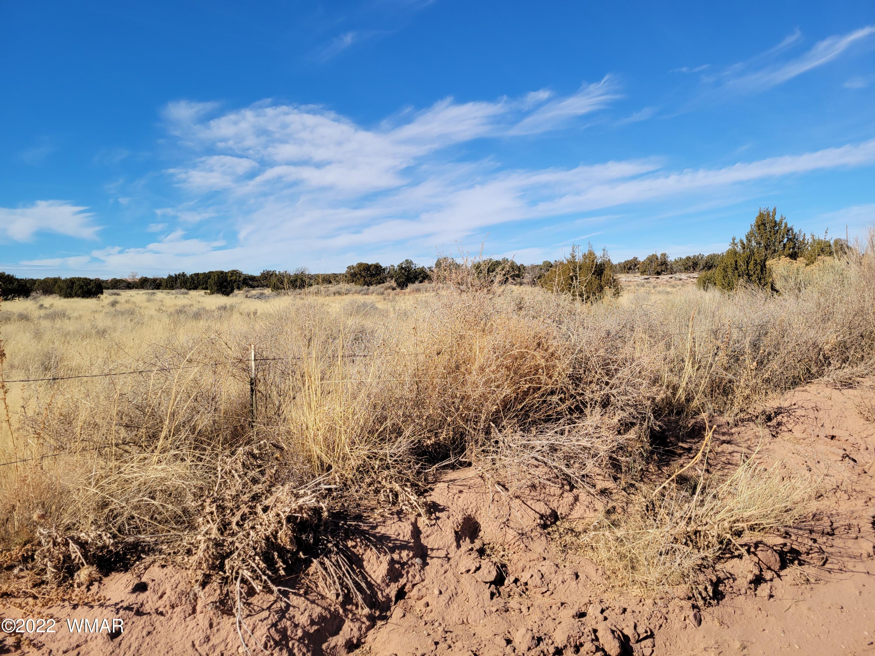 4596 El Dorado Road Snowflake, AZ 85937 - Photo 30 of 32 20211222_120352