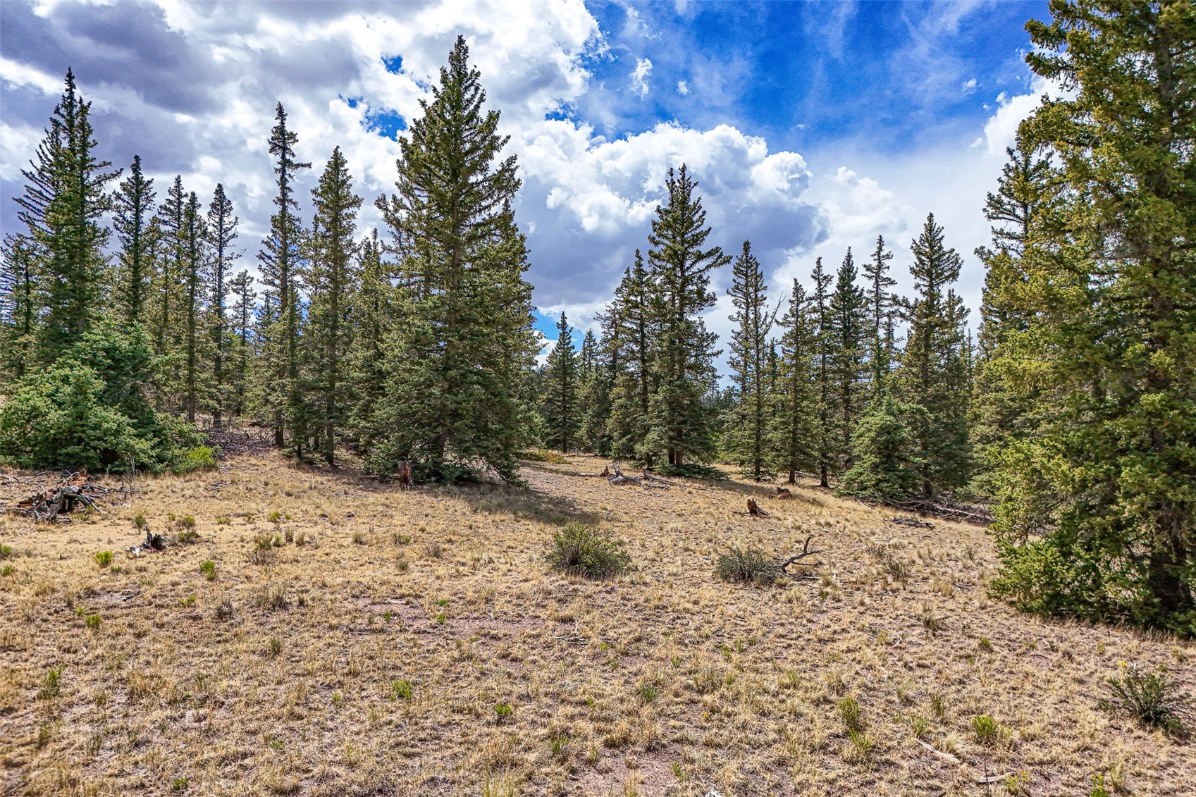 1111 Latigo Loop Hartsel, CO 80449 - Photo 14 of 20