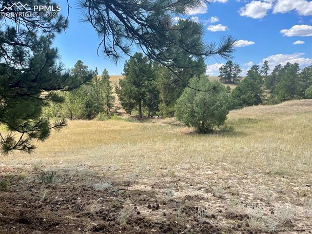 4 County Road 102 Road Elbert, CO 80106 - Photo 4 of 5
