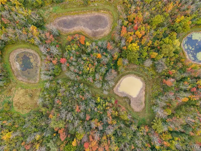 $245,900 | 4567 Christian Road, Ossian, NY 14437