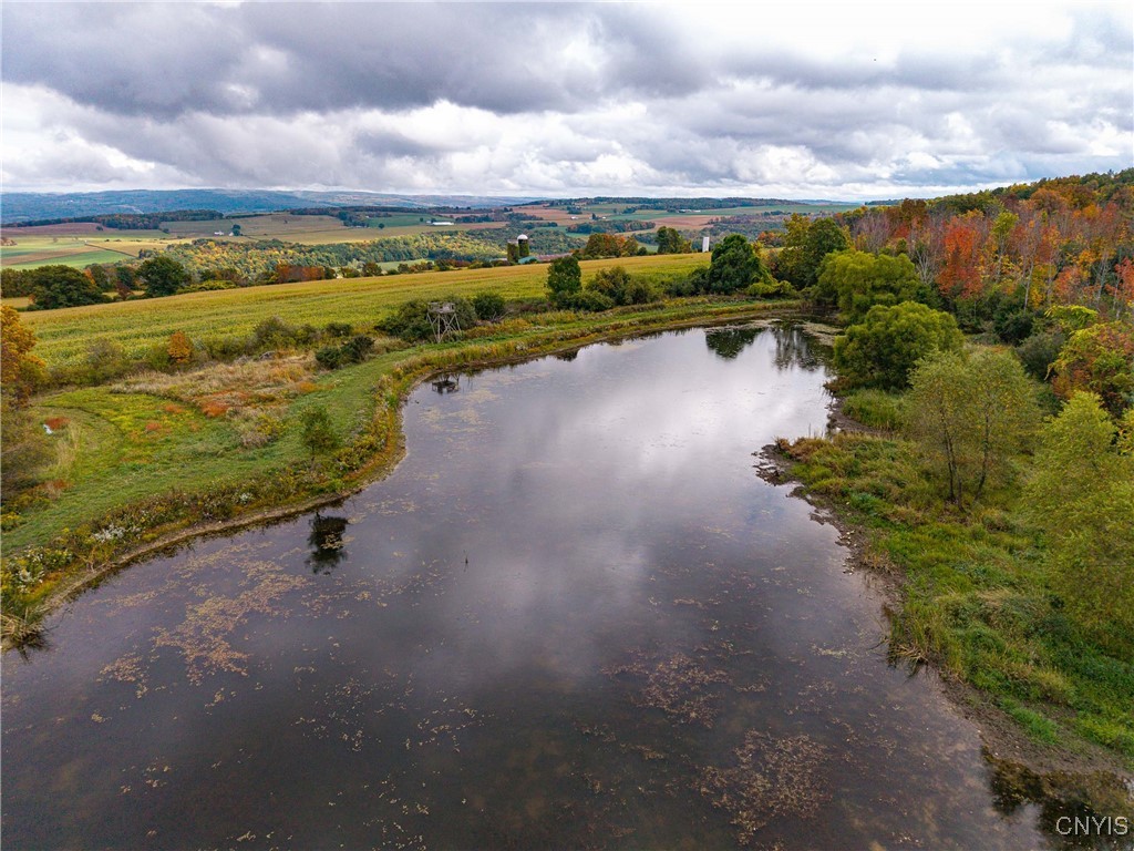 4567 Christian Road Ossian, NY 14437 - Photo 4 of 38