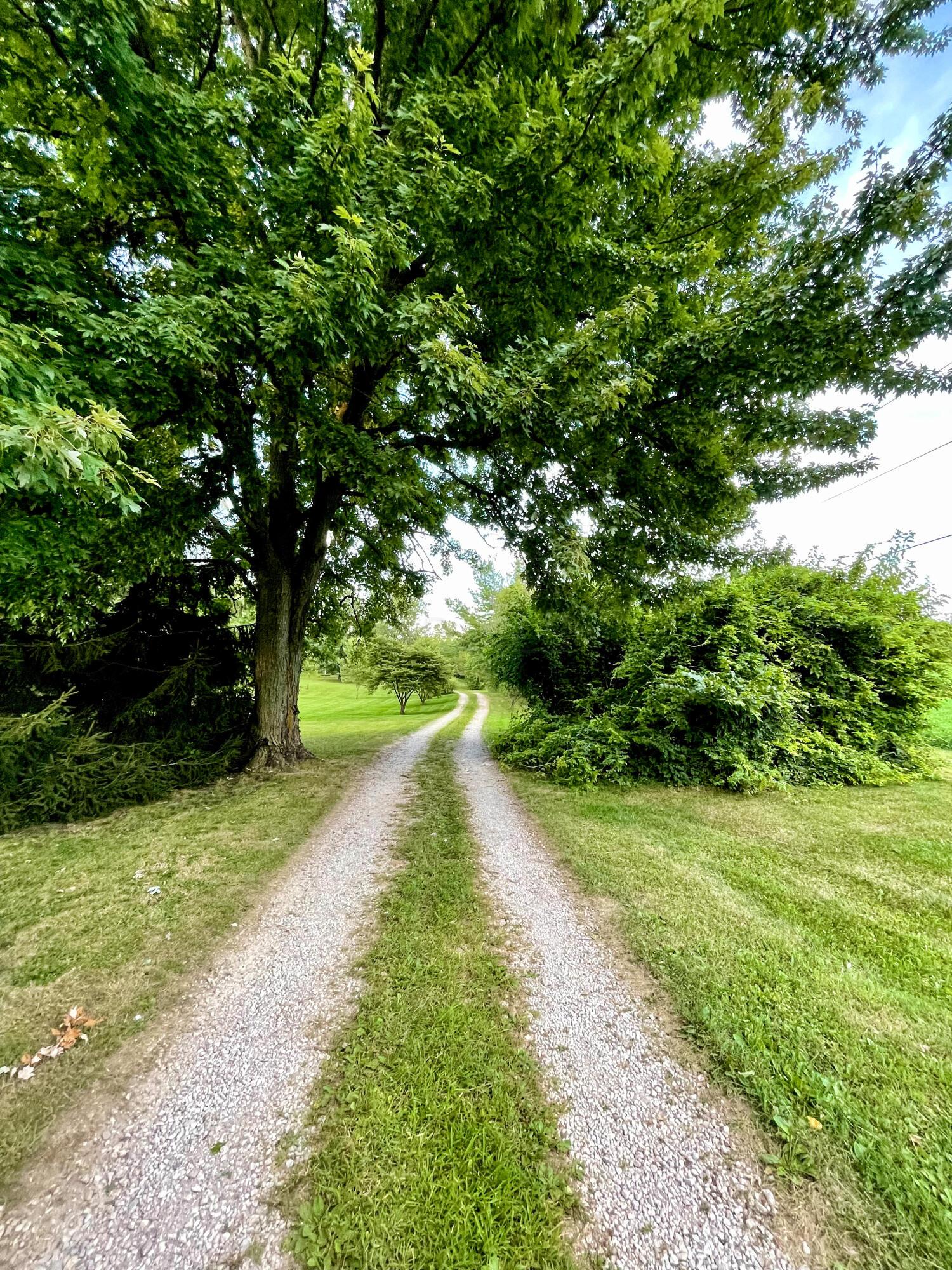 10671 Co Road East Liberty, OH 43319 - Photo 2 of 37 Tree lined lane
