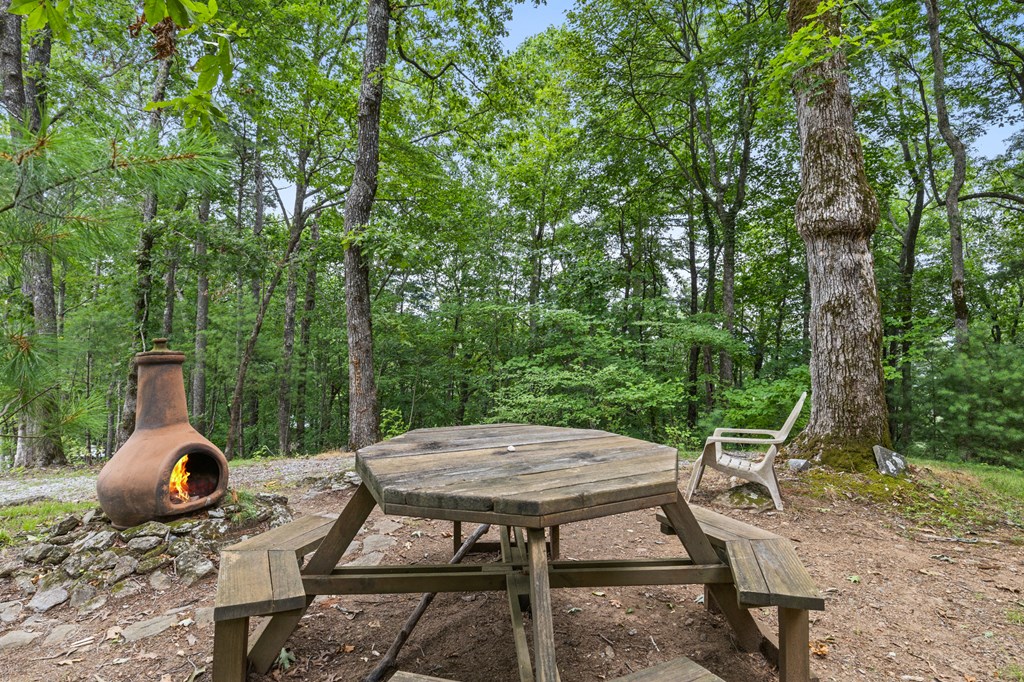 329 Northside Mountain Road Suches, GA 30572 - Photo 27 of 33 Gallery Image 27