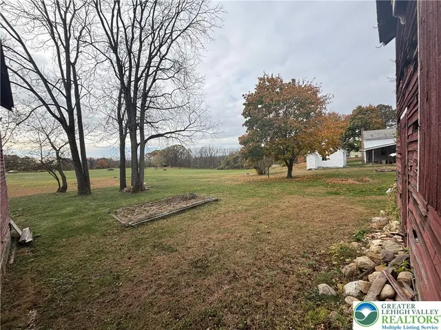 a view of yard with trees