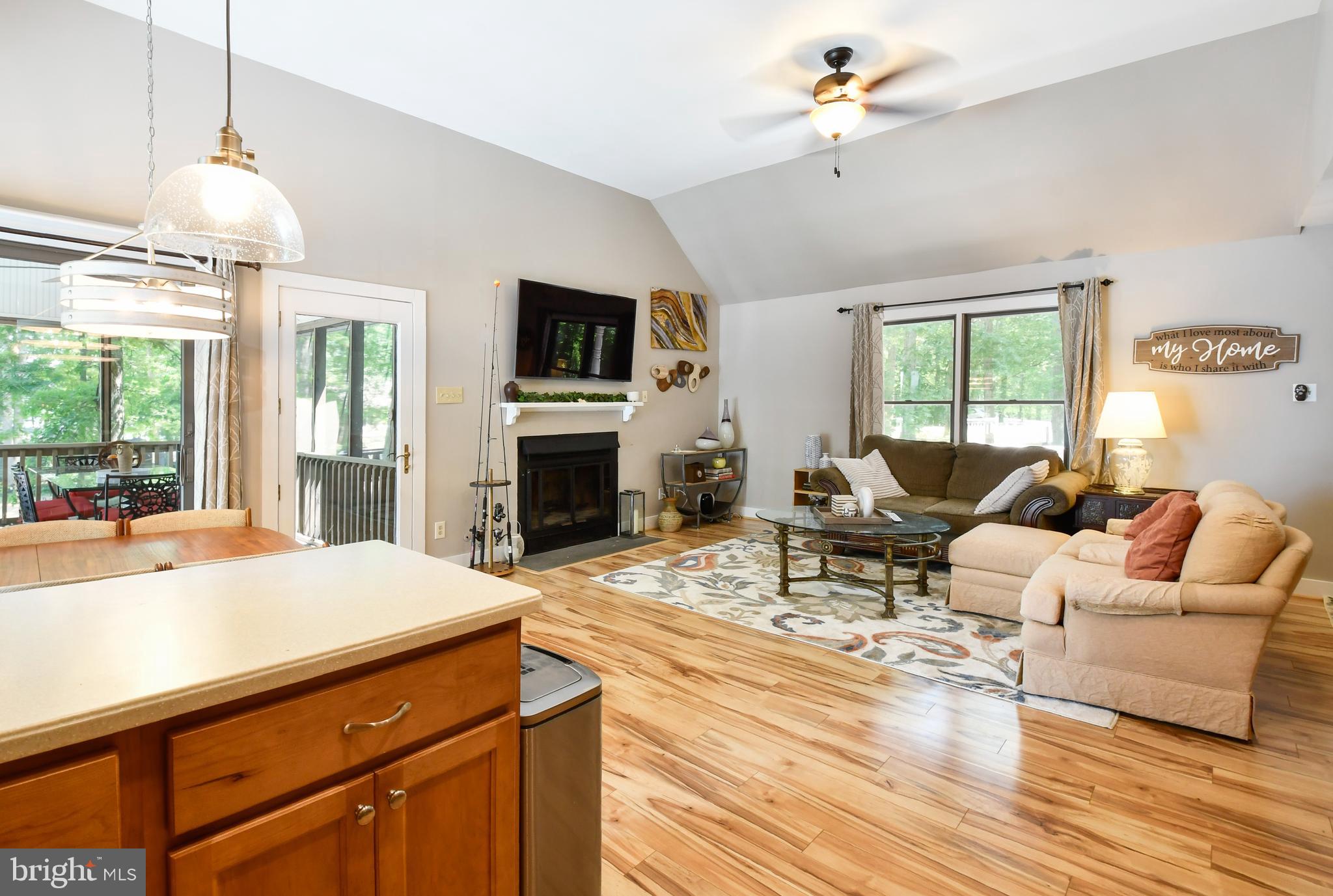 35 Tomahawk Circle Mineral, VA 23117 - Photo 17 of 25 a living room with furniture a fireplace and a flat screen tv
