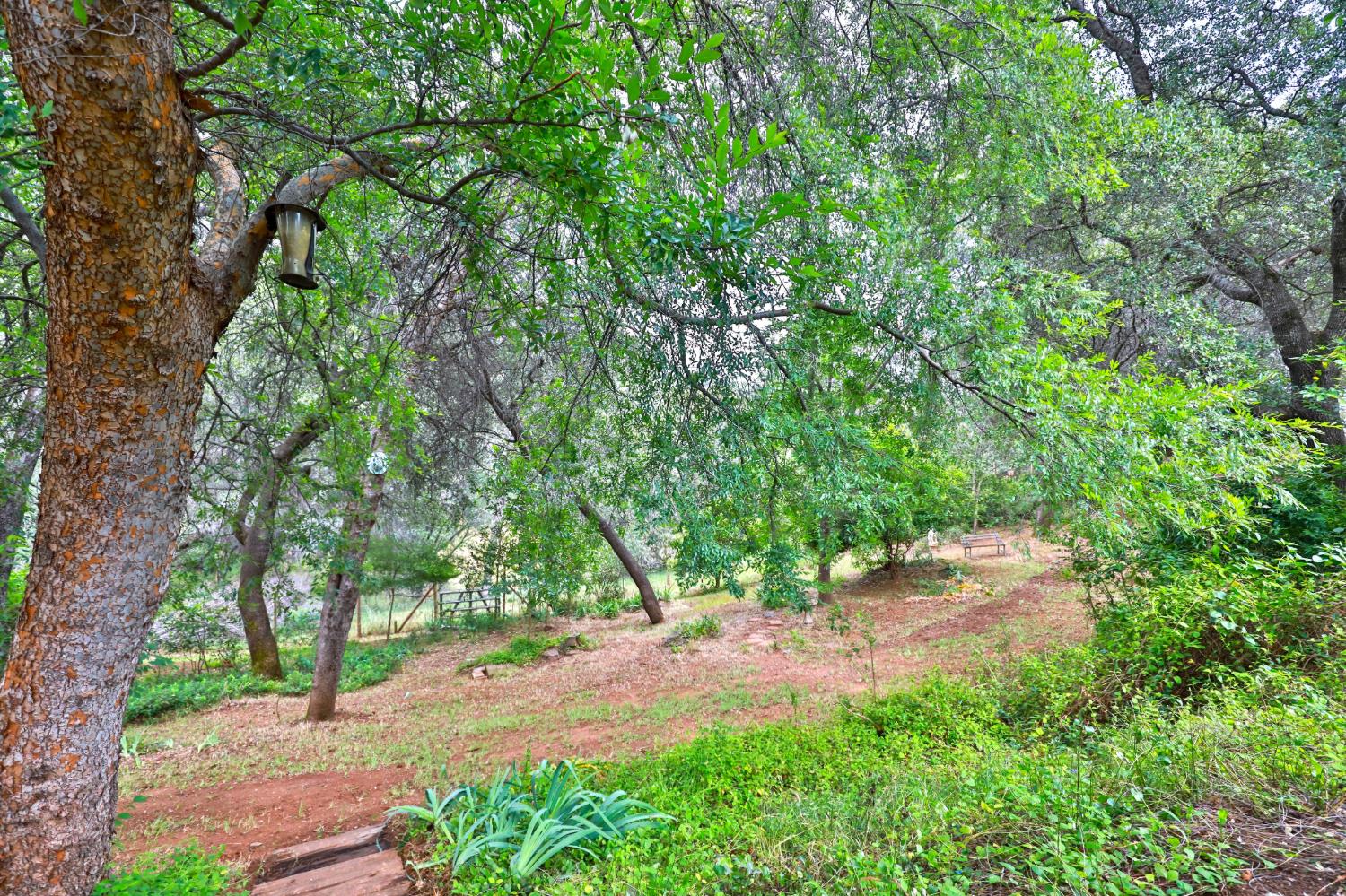 4773 Jacarah Road Placerville, CA 95667 - Photo 43 of 94