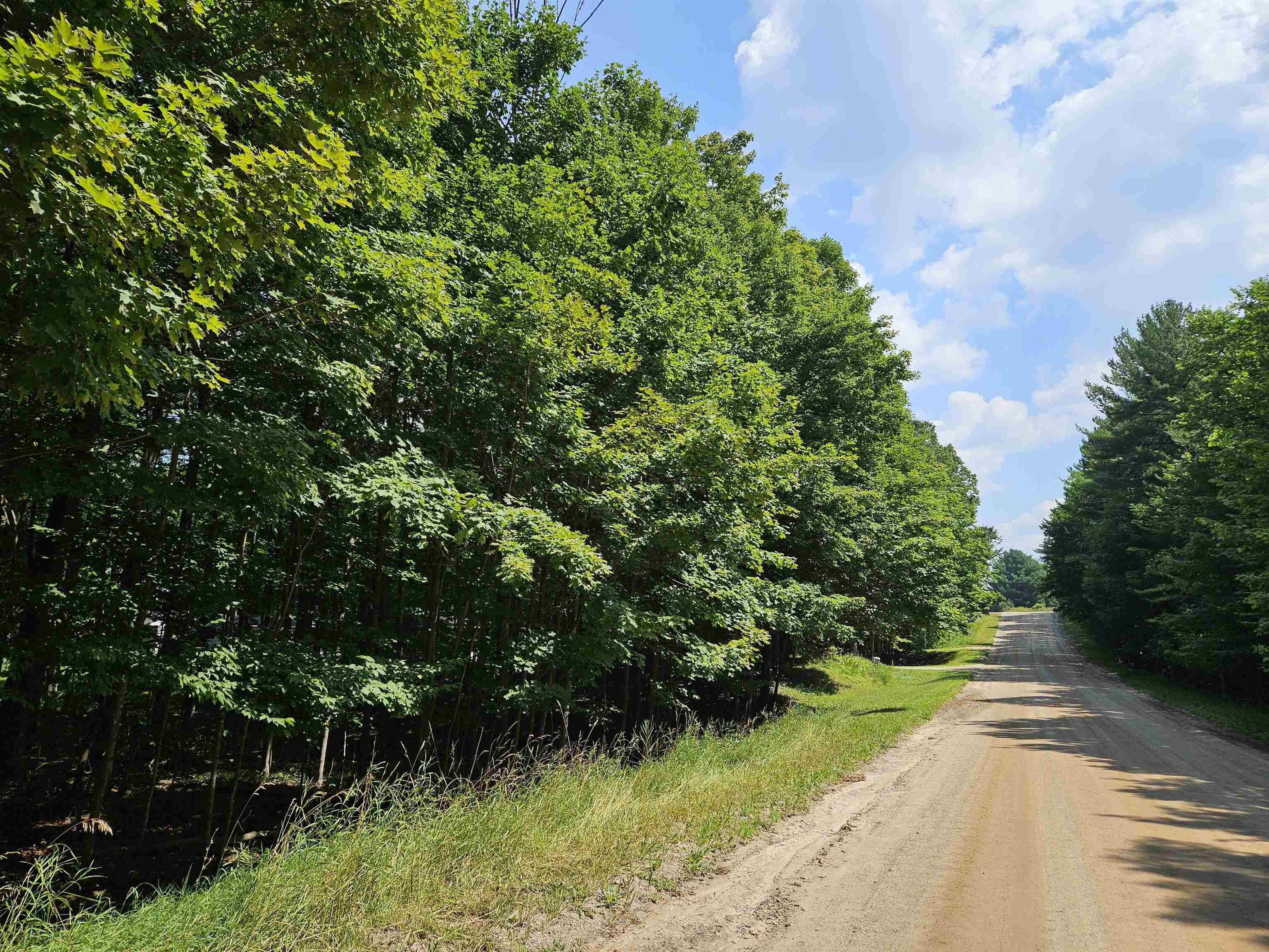 Tbd Tbd Willsey Road Traverse City, MI 49696 - Photo 2 of 22