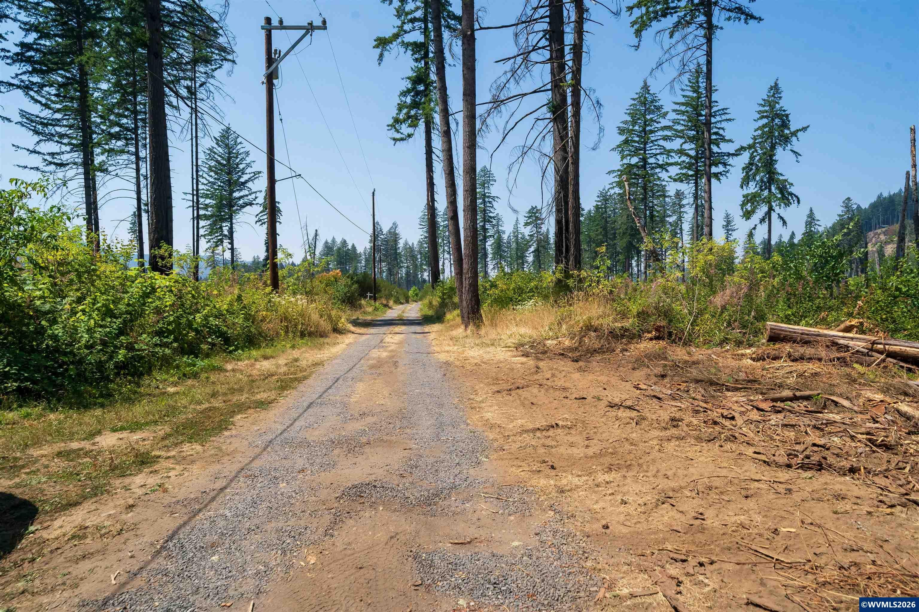 Lot 1101 Santiam Park Road Lyons, OR 97358 - Photo 7 of 18 Gallery Image 7