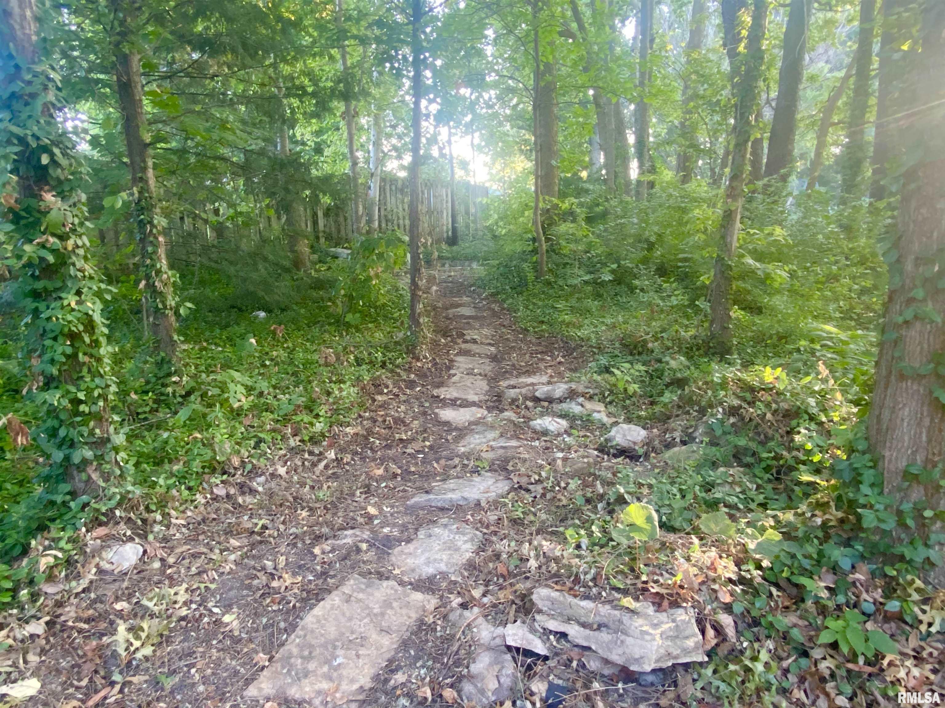 1815 Mound Road Jacksonville, IL 62650 - Photo 9 of 34