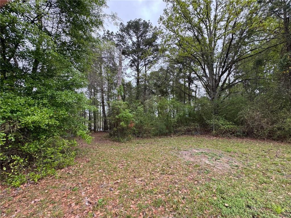 280 Owens Road Fort Mitchell, AL 36856 - Photo 32 of 56 View of yard featuring a view of trees