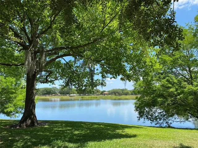 a view of a park with large trees