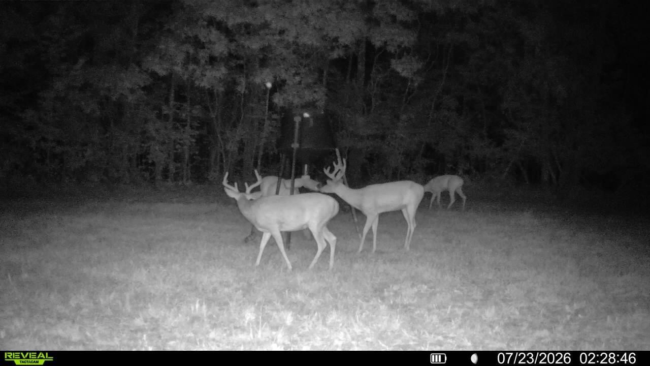 1134 Pisgah Road Smithland, KY 42081 - Photo 25 of 33 Trail Cam