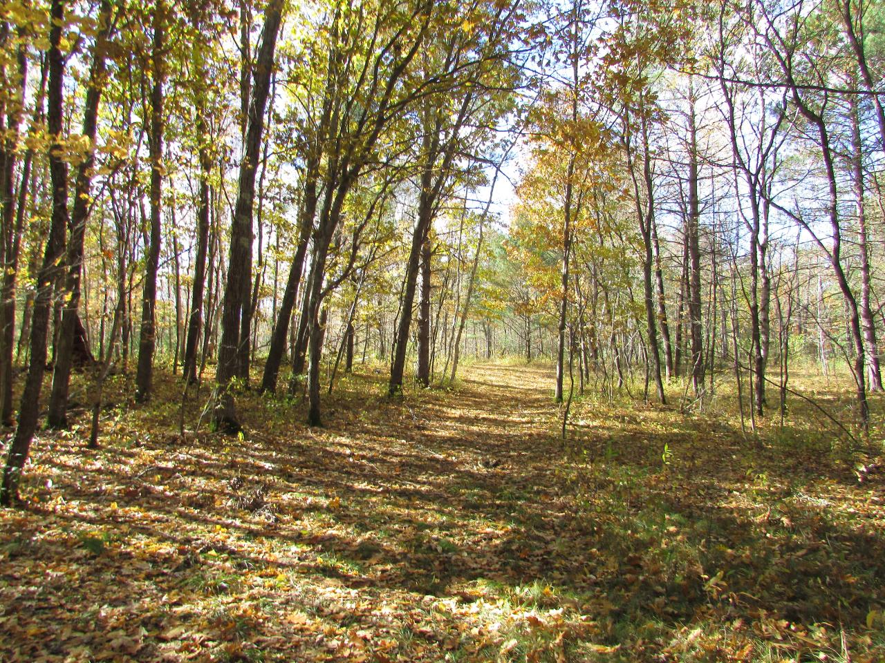 On White Birch Road Woodruff, WI 54568 - Photo 17 of 18 Gallery Image 17