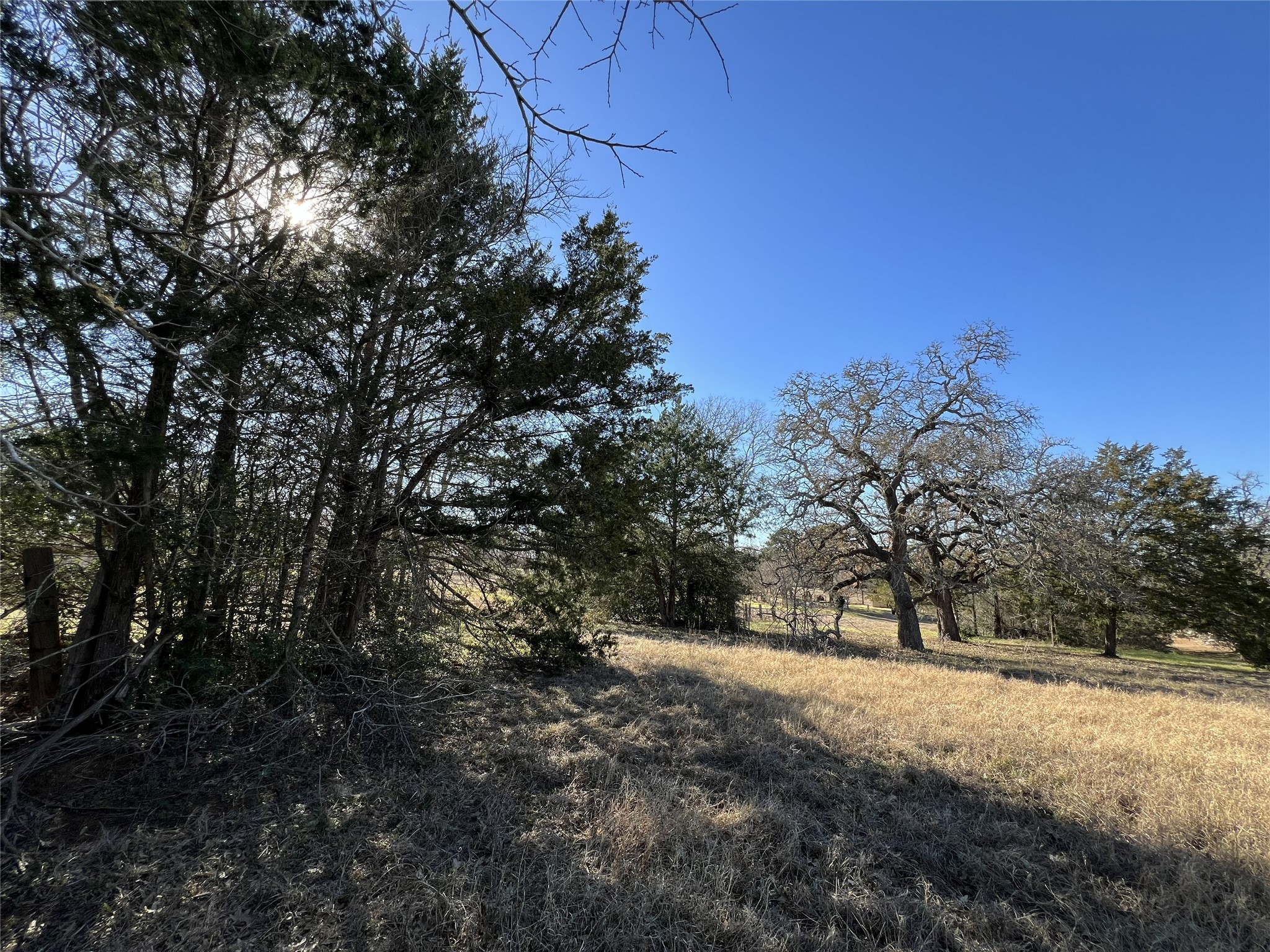 Tbd Rosanky Cattle Company Road Smithville, TX 78957 - Photo 29 of 40 a view of outdoor space and yard