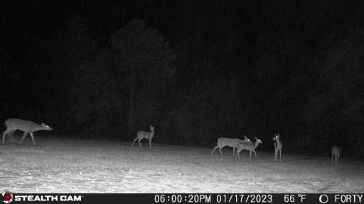 0 County Road 97 Abbeville, AL 36310 - Photo 53 of 53
