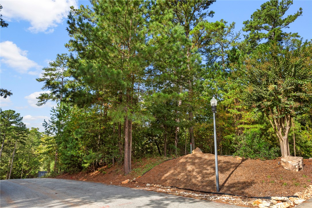Lot 27 Coachmans Trail West Union, SC 29696 - Photo 3 of 20