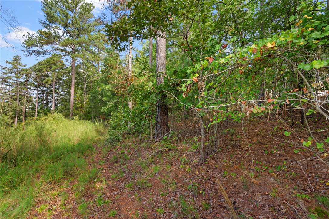 Lot 27 Coachmans Trail West Union, SC 29696 - Photo 5 of 20