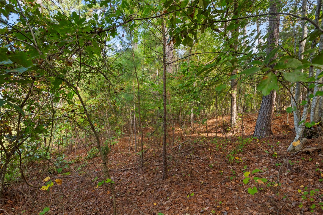 Lot 27 Coachmans Trail West Union, SC 29696 - Photo 8 of 20