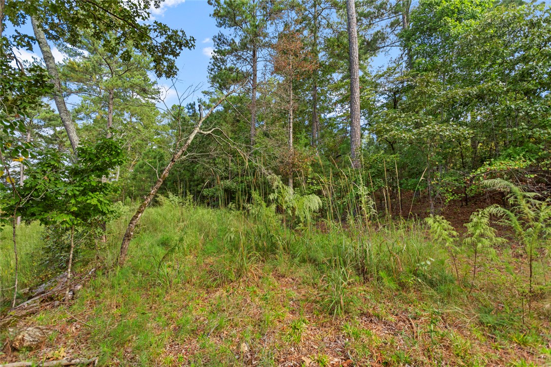 Lot 27 Coachmans Trail West Union, SC 29696 - Photo 9 of 20