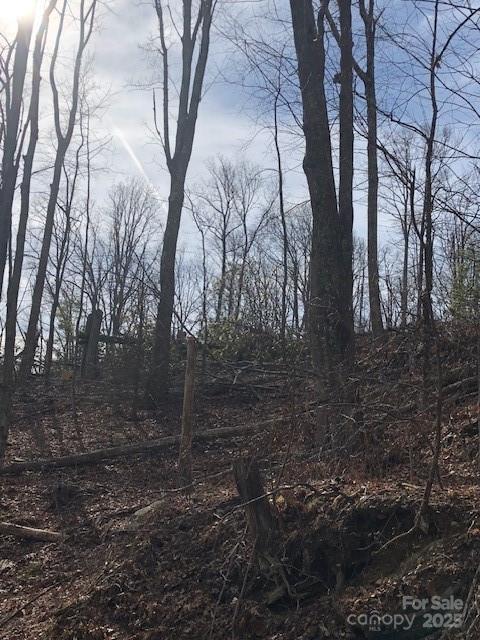 0 Butler Ridge, Unit 26 Hendersonville, NC 28792 - Photo 2 of 5 a backyard of a house with lots of green space