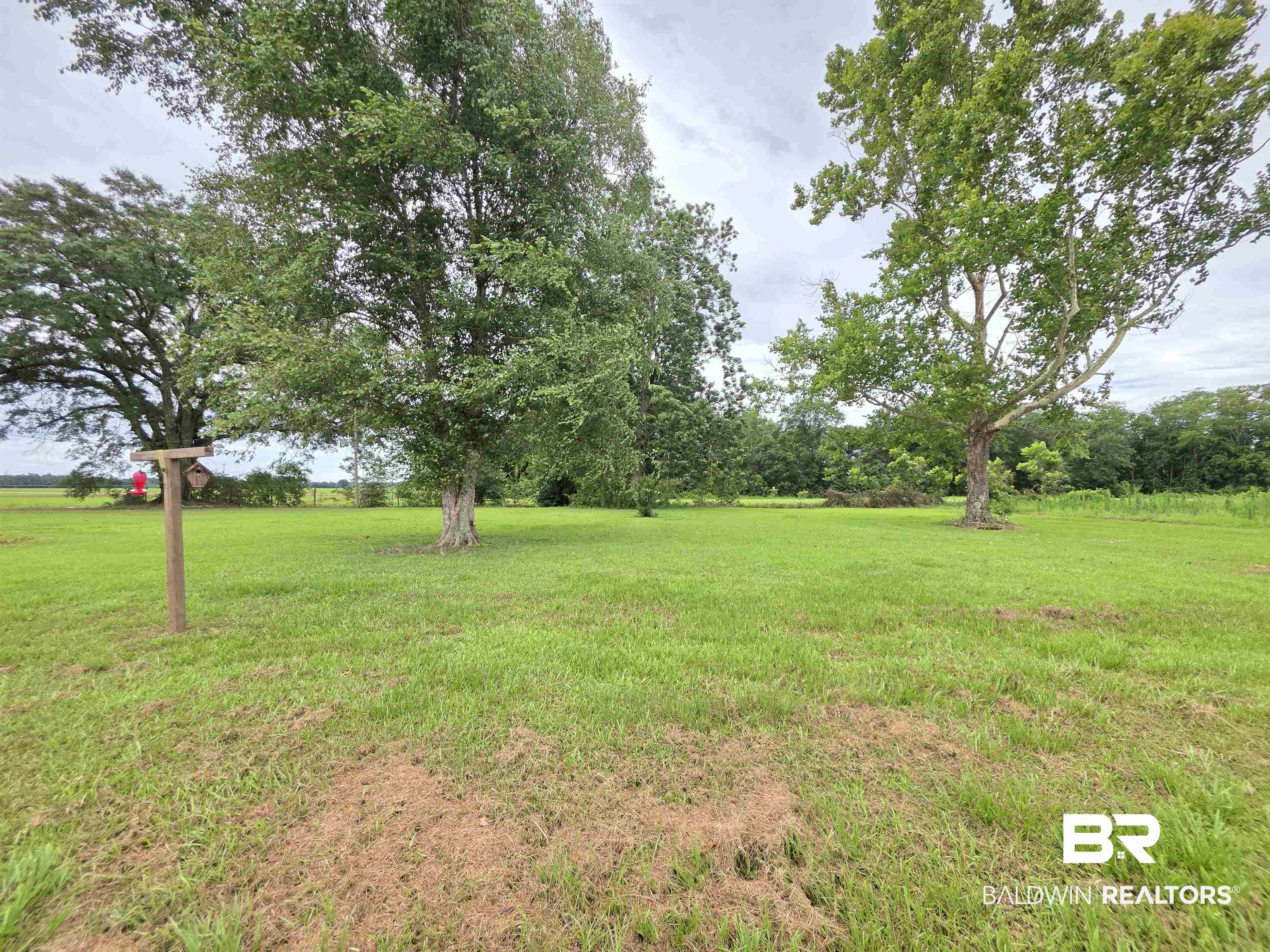 558 Stanton Road Atmore, AL 36502 - Photo 21 of 29 Expansive green space featuring scattered mature trees and open land