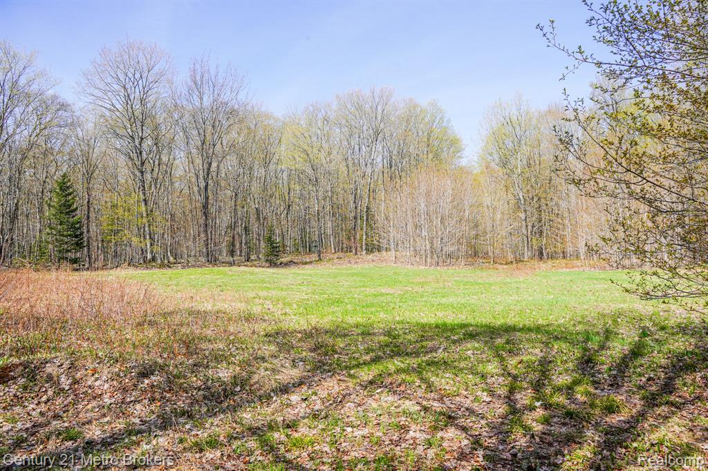 21821 Krenkel Road Newberry, MI 49868 - Photo 16 of 28