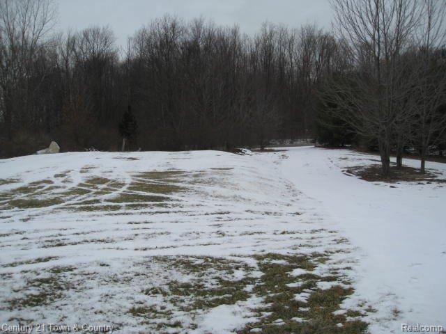 3120 Breen Road Emmett, MI 48022 - Photo 3 of 6 3.JPG
