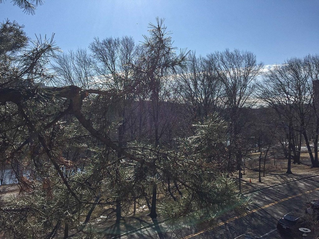 99 Pond Avenue, Unit 423 Brookline, MA 02445 - Photo 10 of 30